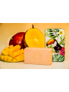Leme Bath Soap Brasil 1500 300g
