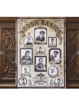 Brosh Basics Poster