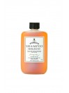 Champú Terapéutico Dr. Harris  100ml