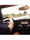 Ambientador/Air Freshener Attitude Hey Joe