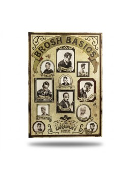 Póster Brosh Basics