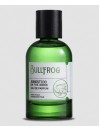 Bullfrog Eau de Parfum Agnostico On The Rocks 100ml